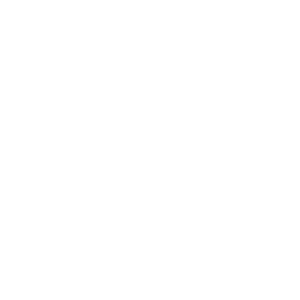 ford website image