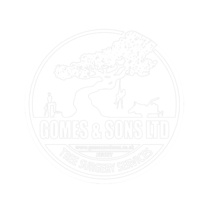 gomes website image
